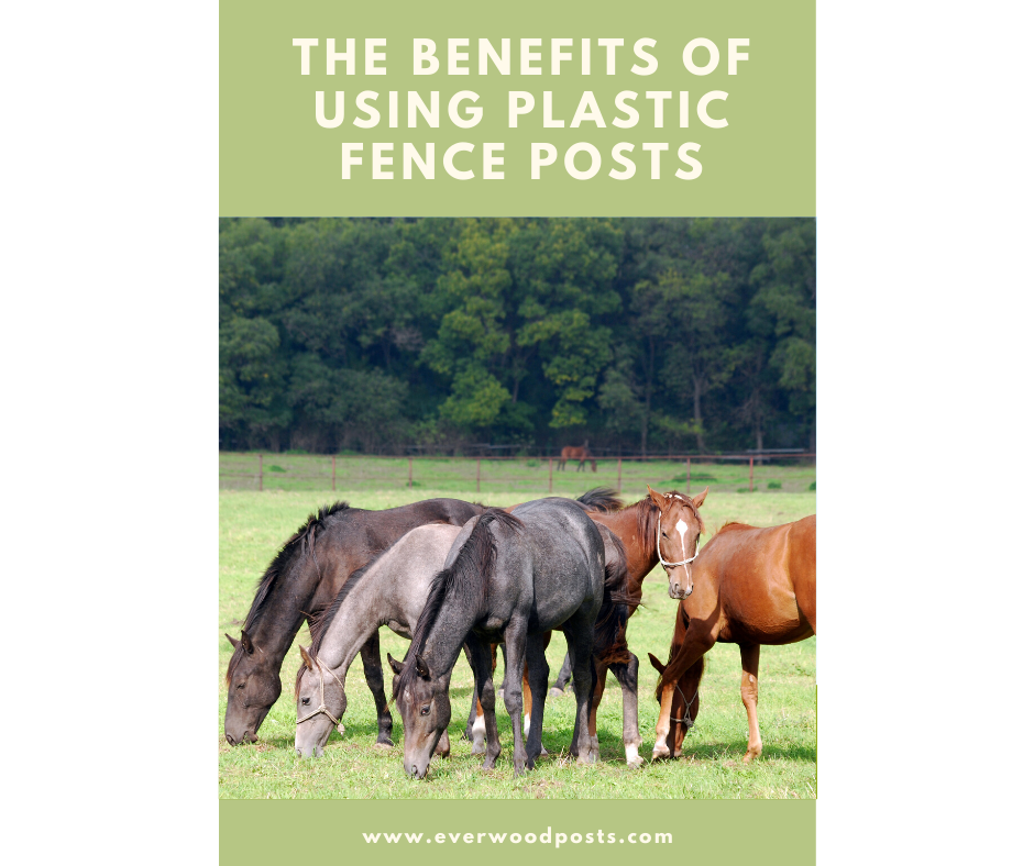The Benefits of Using Everwood Plastic Fence Posts